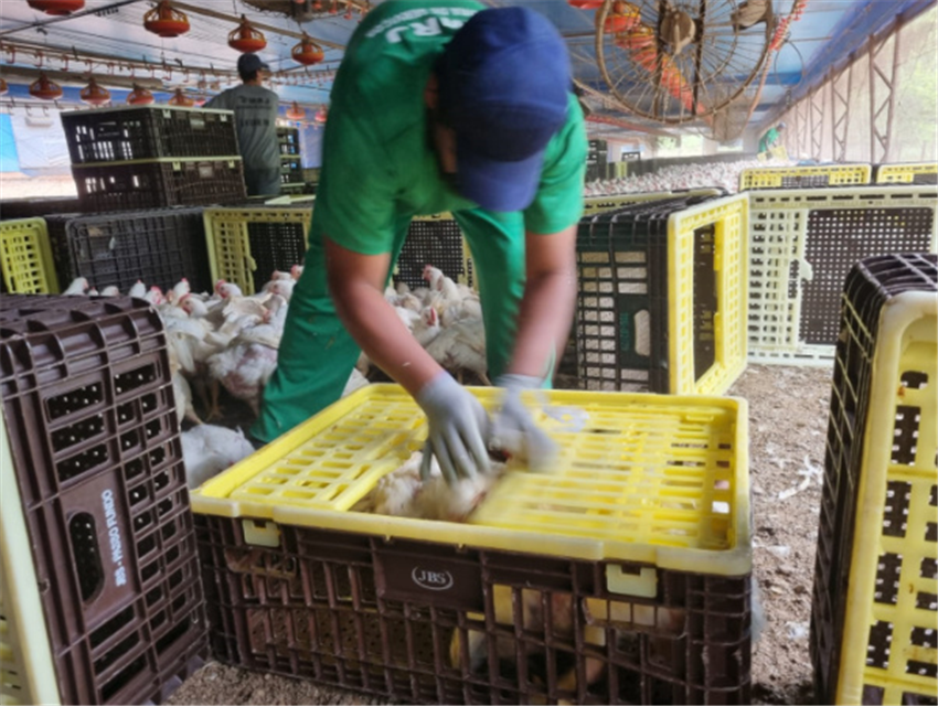 Trabalho Escravo em Terceirizada da JBS